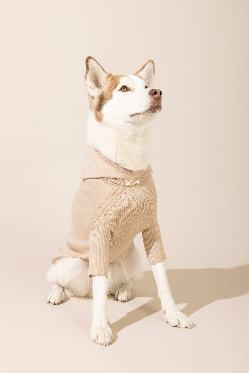 Baby Alpaca Hooded Knit Dog Sweater warmthe