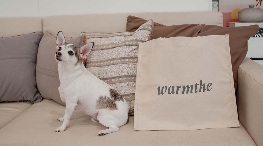 #TheBagThatStartedItAll tote image