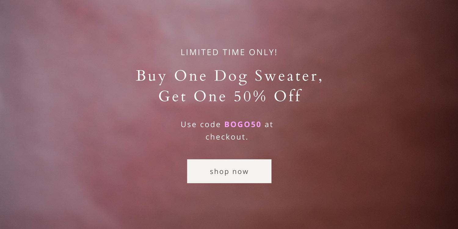 cute dog sweaters, cute small and large dog sweaters, sale buy one get one 50% off dog sweater, gift finds for dogs, quiet luxury, dog fashion, dog sweater, eco-friendly dog sweater, warm dog sweater, stylish dog sweater, sweater for dogs, sweater for small dogs, sweater for large dogs