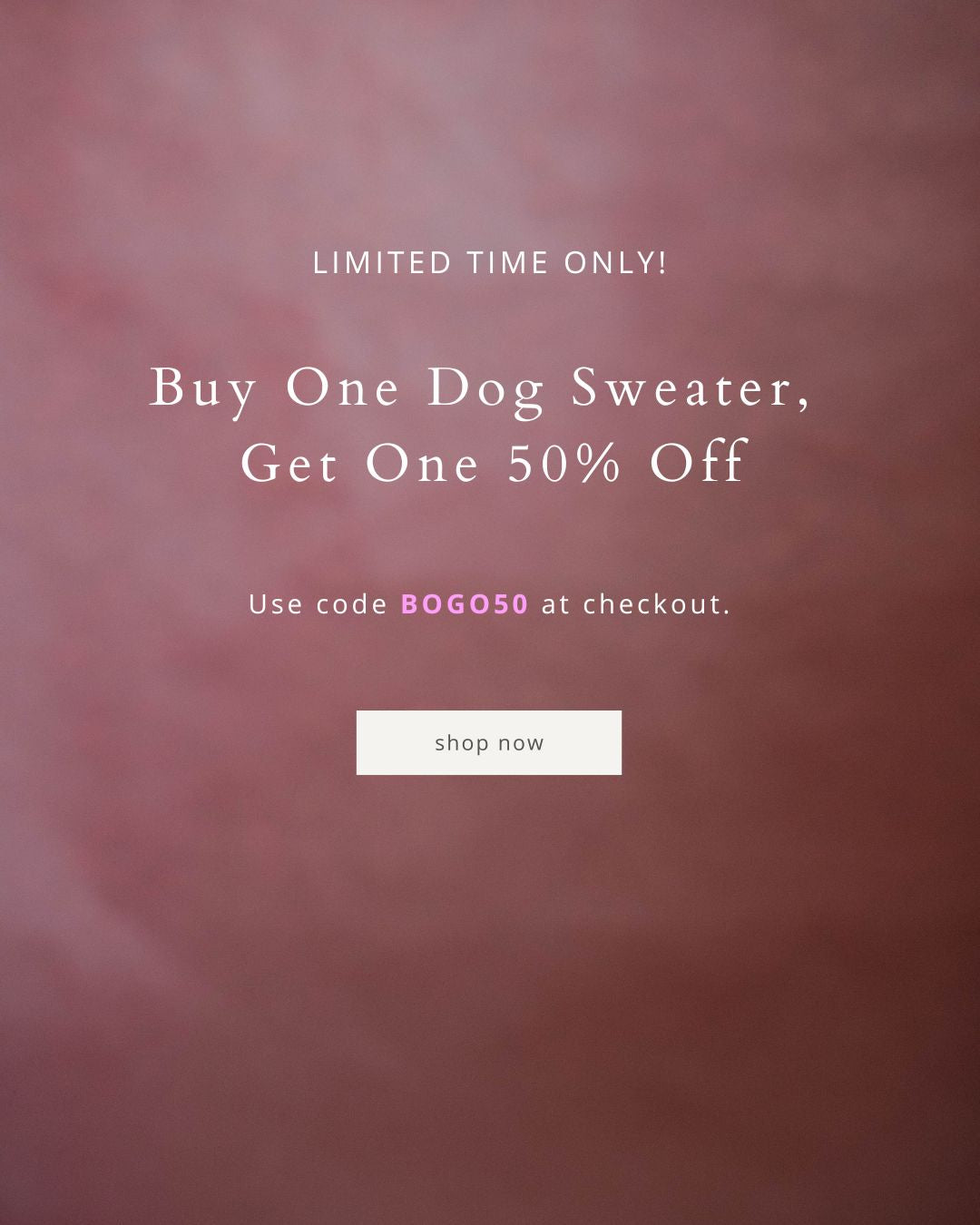 cute dog sweaters, cute small and large dog sweaters, sale buy one get one 50% off dog sweater, gift finds for dogs, quiet luxury, dog fashion, dog sweater, eco-friendly dog sweater, warm dog sweater, stylish dog sweater, sweater for dogs, sweater for small dogs, sweater for large dogs