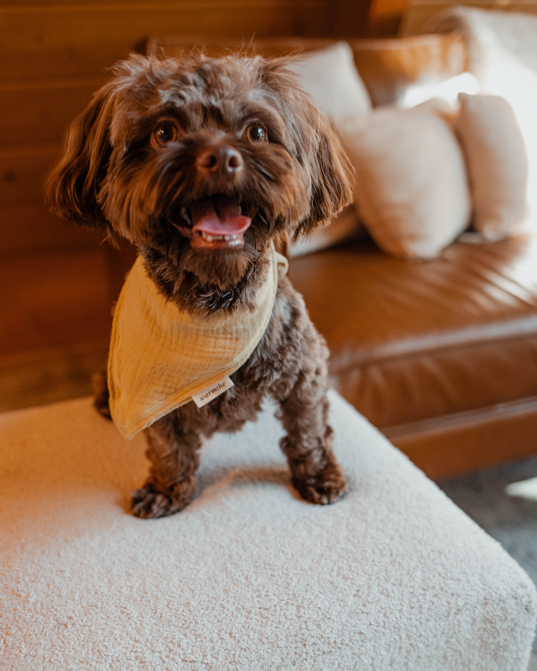 dog bandana, handmade dog bandana, yellow bandana, spring bandana, summer bandana, soft cotton dog bandana