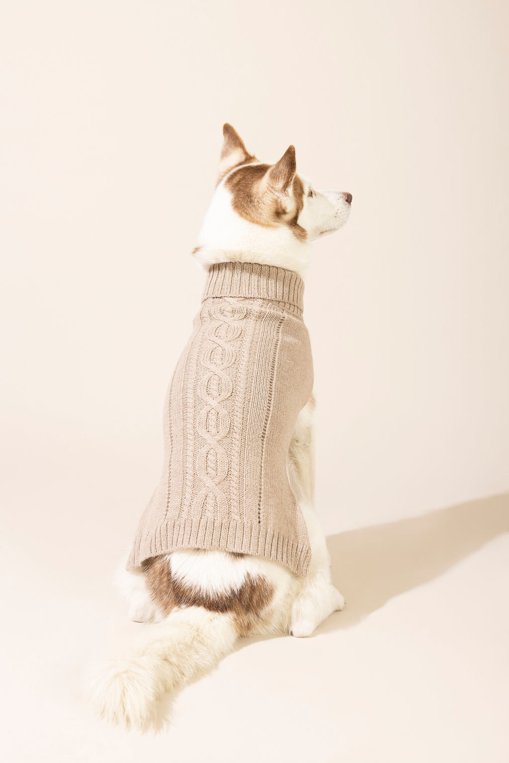  dog coats, dog sweatshirts, small dog sweaters, alpaca dog sweater, sweater for dogs, cute dog sweater, cashmere dog sweater, sweater for small dogs, sweater for large dogs, gifts for dogs, dog sweaters, xs dog sweater, coats for dogs in winter, pet coats