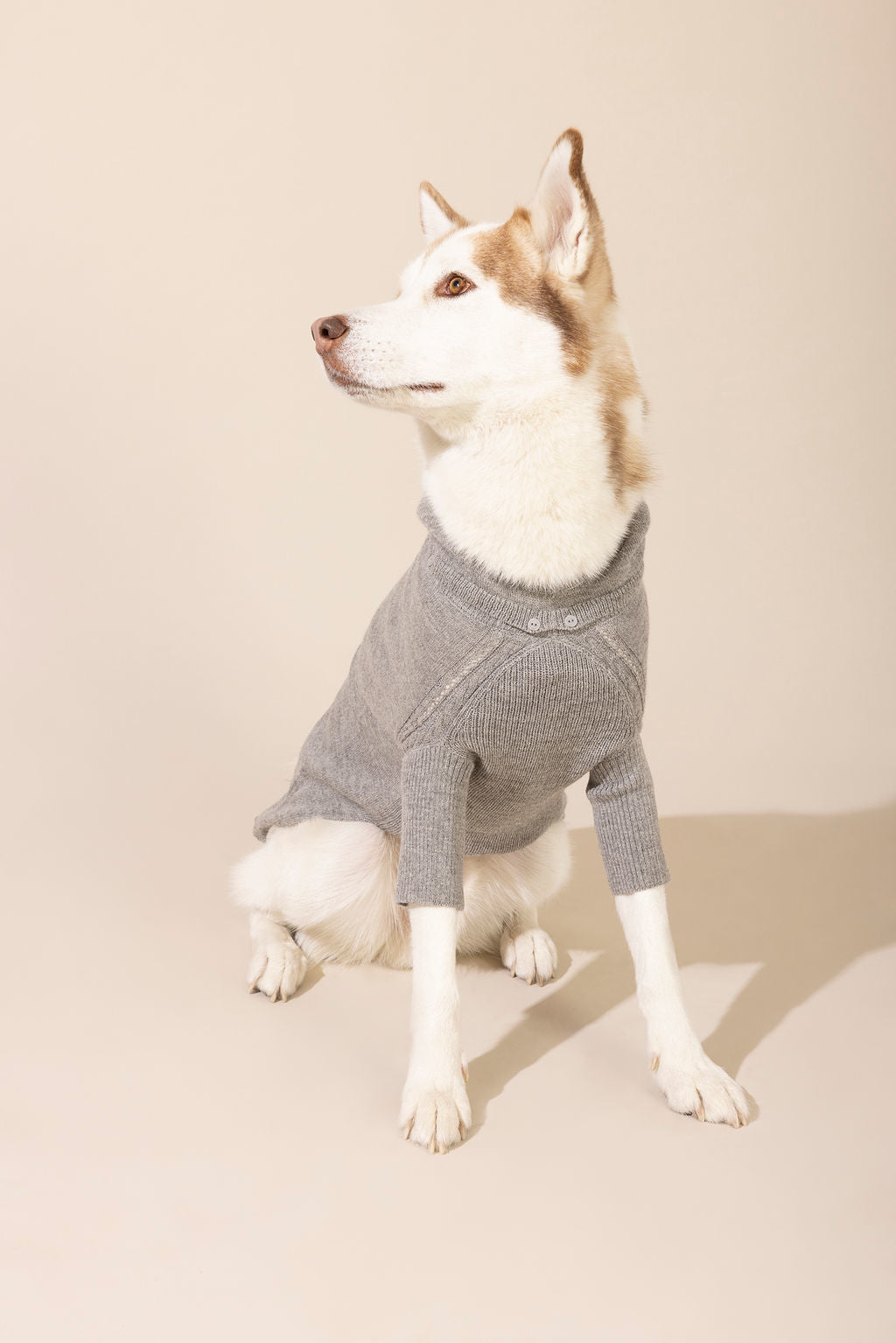  dog coats, dog sweatshirts, small dog sweaters, alpaca dog sweater, sweater for dogs, cute dog sweater, cashmere dog sweater, sweater for small dogs, sweater for large dogs, gifts for dogs, dog sweaters, xs dog sweater, coats for dogs in winter, pet coats, small dog jumpers, puppy sweaters for small dogs