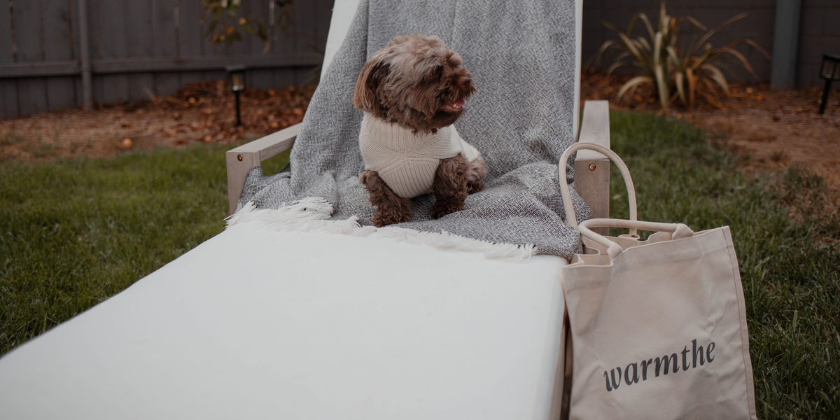 A small dog  wearing warmthe cable knit sweater in ivory sitting on a lounge chair with the #TheBagThatStartedIttAll tote