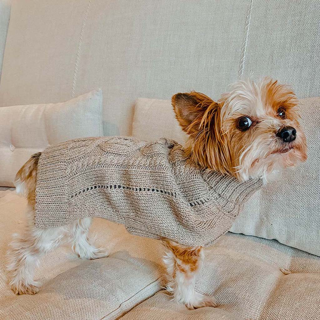 dog coats, dog sweatshirts, small dog sweaters, alpaca dog sweater, sweater for dogs, cute dog sweater, cashmere dog sweater, sweater for small dogs, sweater for large dogs, gifts for dogs, dog sweaters, xs dog sweater, coats for dogs in winter, pet coats,