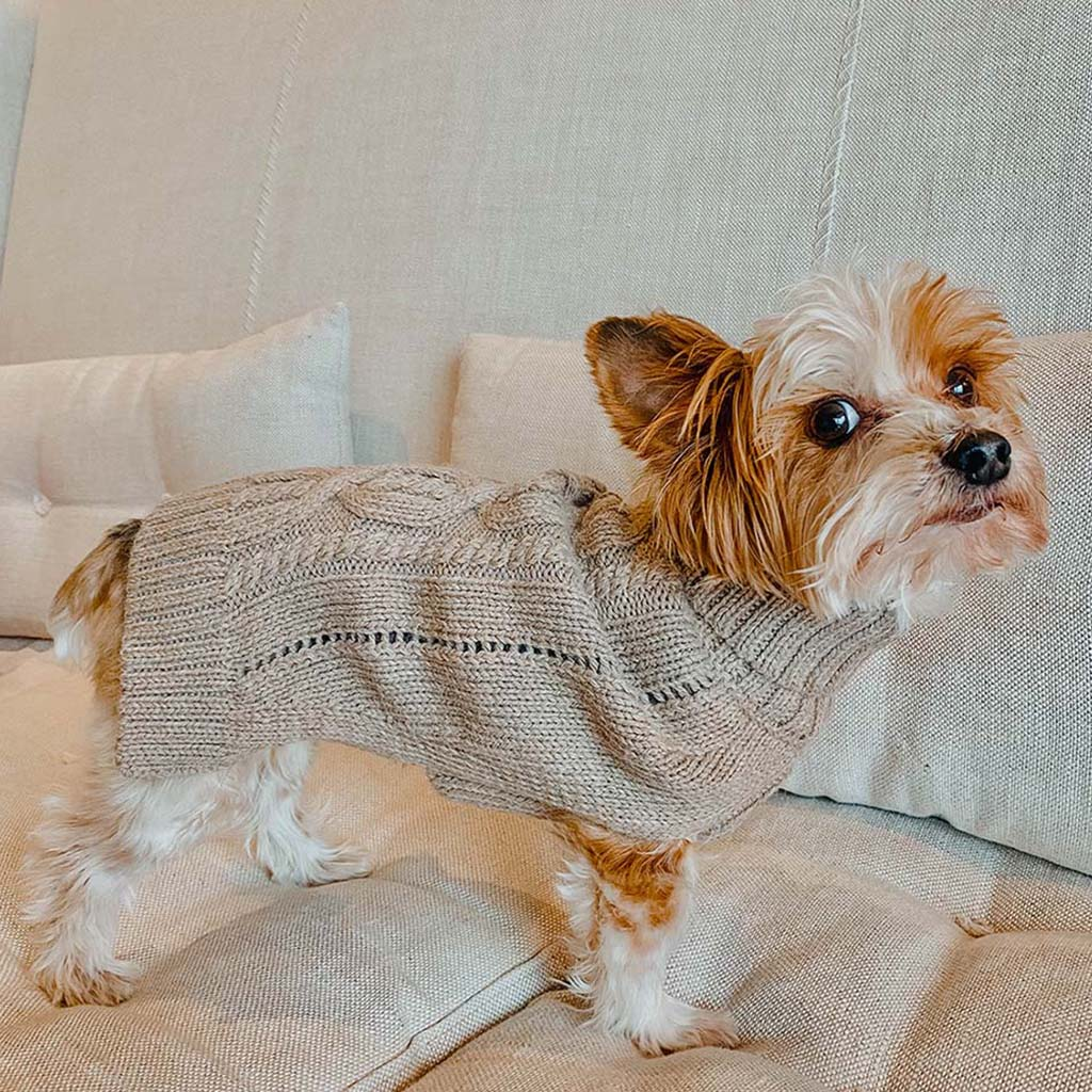  dog coats, dog sweatshirts, small dog sweaters, alpaca dog sweater, sweater for dogs, cute dog sweater, cashmere dog sweater, sweater for small dogs, sweater for large dogs, gifts for dogs, dog sweaters, xs dog sweater, coats for dogs in winter, pet coats,