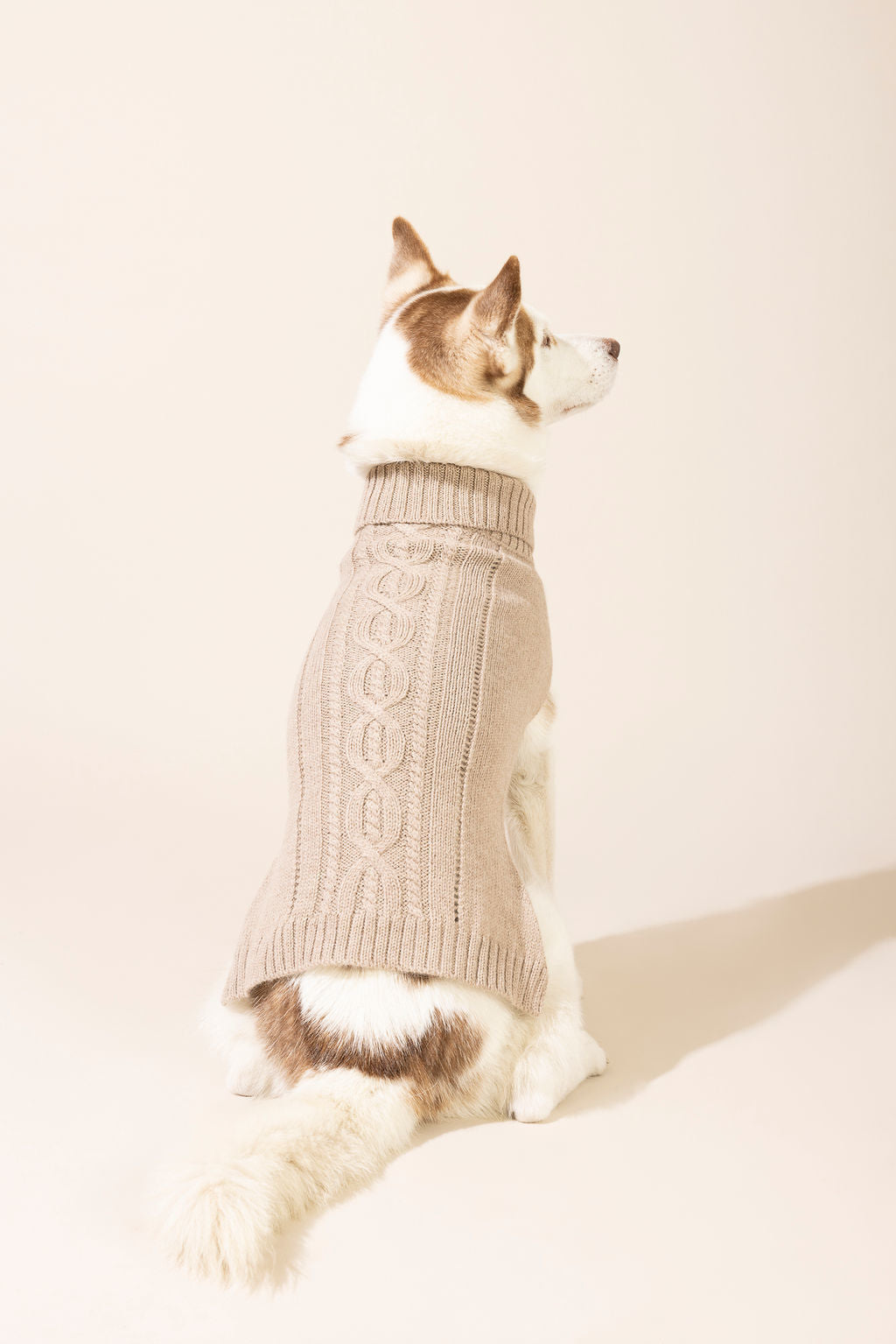 Back view of brown baby alpaca cable knit sweater made from eco-friendly fibers — warm, cozy, and stylish dog sweater suitable for small and large dogs, perfect for winter weather, outdoor walks, and one of the best knitted dog sweaters for comfort and durability.