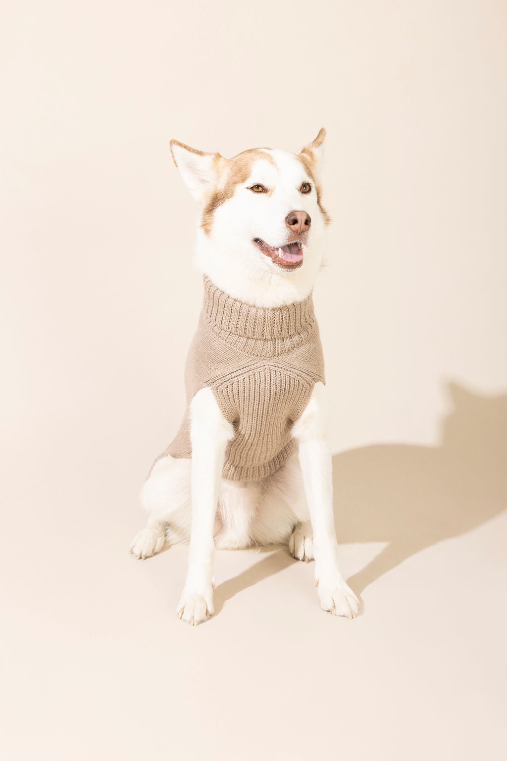 Front view of brown baby alpaca cable knit sweater made from eco-friendly fibers — warm, cozy, and stylish dog sweater suitable for small and large dogs, perfect for winter weather, outdoor walks, and one of the best knitted dog sweaters for comfort and durability.