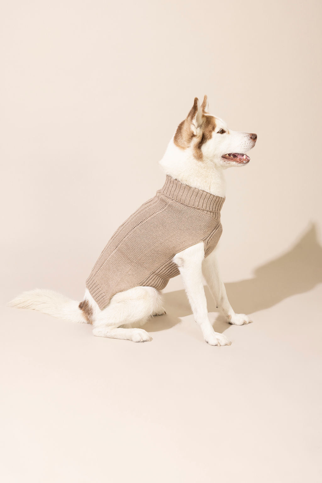 Side view of brown baby alpaca cable knit sweater made from eco-friendly fibers — warm, cozy, and stylish dog sweater suitable for small and large dogs, perfect for winter weather, outdoor walks, and one of the best knitted dog sweaters for comfort and durability.