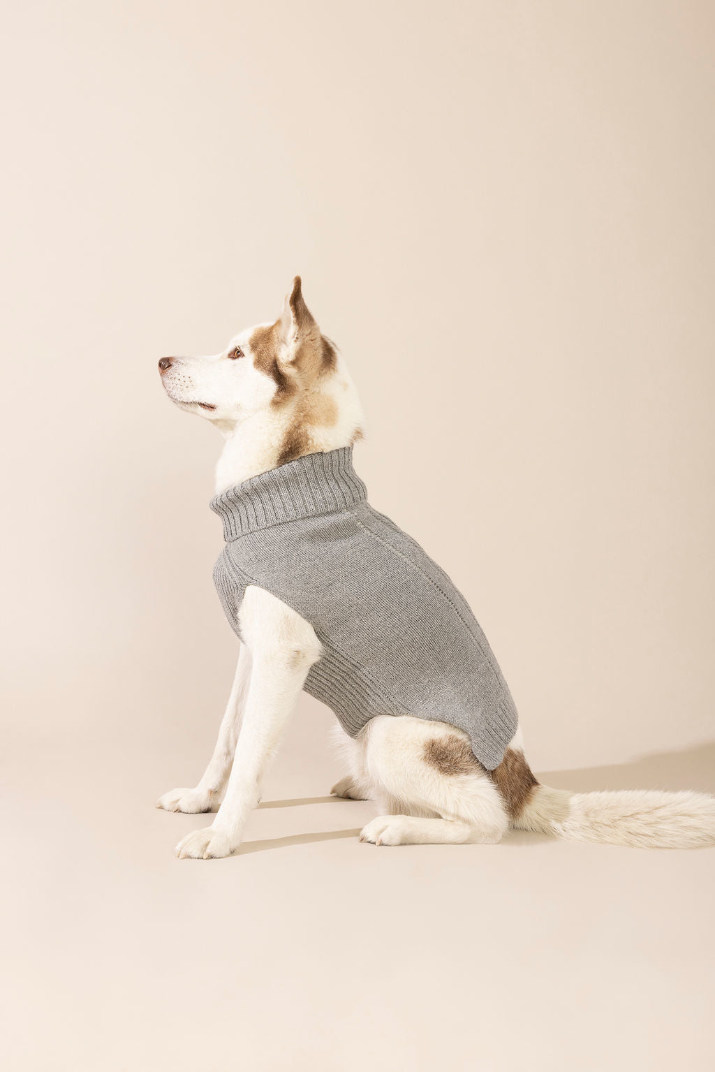 Side view of gray baby alpaca cable knit sweater made from eco-friendly fibers — warm, cozy, and stylish dog sweater suitable for small and large dogs, perfect for winter weather, outdoor walks, and one of the best knitted dog sweaters for comfort and durability.