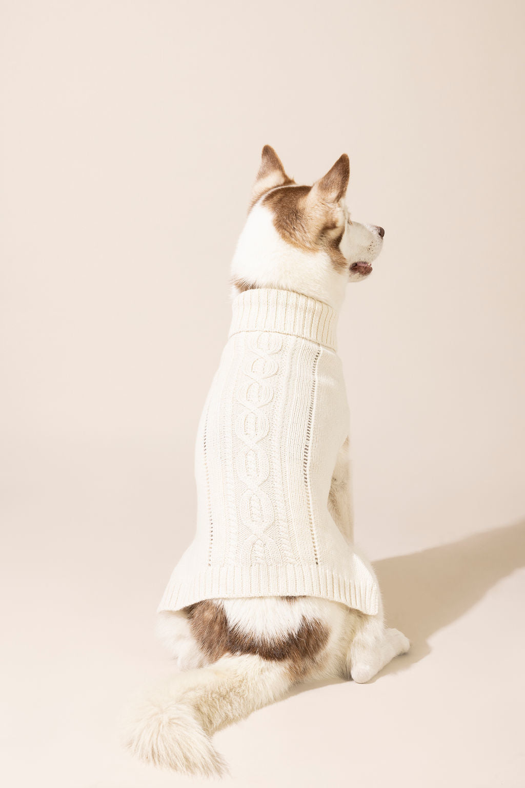 Back view of ivory baby alpaca cable knit sweater made from eco-friendly fibers — warm, cozy, and stylish dog sweater suitable for small and large dogs, perfect for winter weather, outdoor walks, and one of the best knitted dog sweaters for comfort and durability.