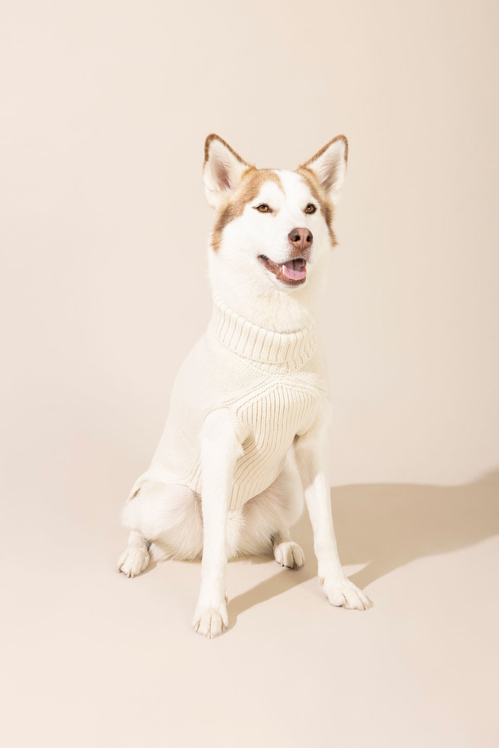 Front view of ivory baby alpaca cable knit sweater made from eco-friendly fibers — warm, cozy, and stylish dog sweater suitable for small and large dogs, perfect for winter weather, outdoor walks, and one of the best knitted dog sweaters for comfort and durability.