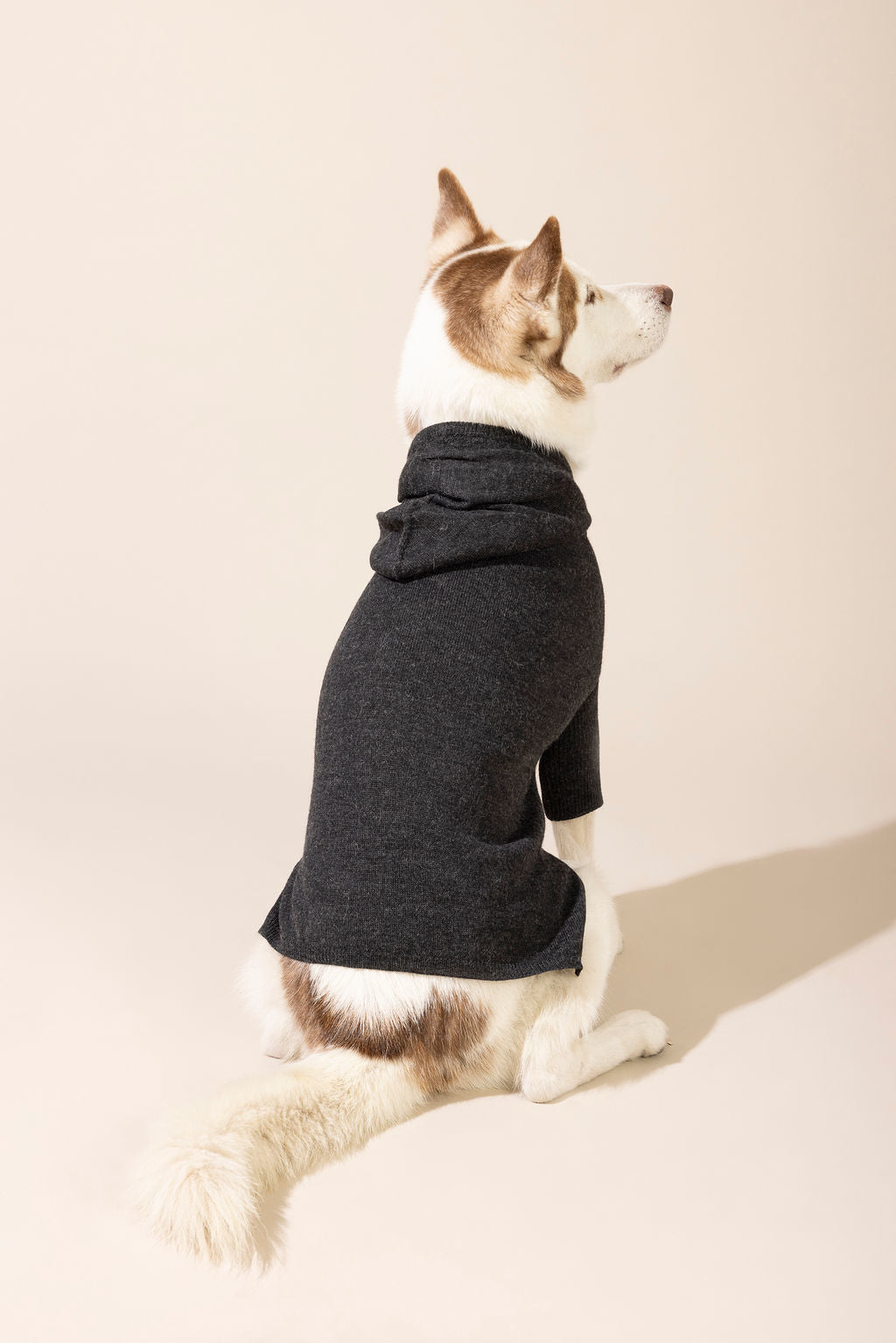 Back view of dark grey baby alpaca hooded sweater — lightweight and breathable dog sweater ideal for year-round wear, eco-friendly for both small and large dogs, combining comfort, style, and durability.