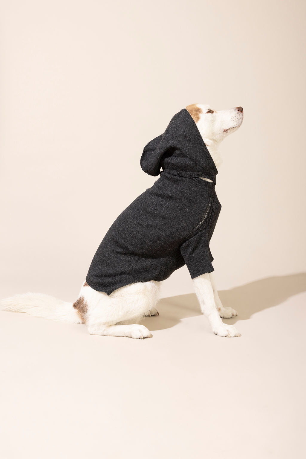 Side view of dark grey baby alpaca hooded sweater with hood on — lightweight and breathable dog sweater ideal for year-round wear, eco-friendly for both small and large dogs, combining comfort, style, and durability.