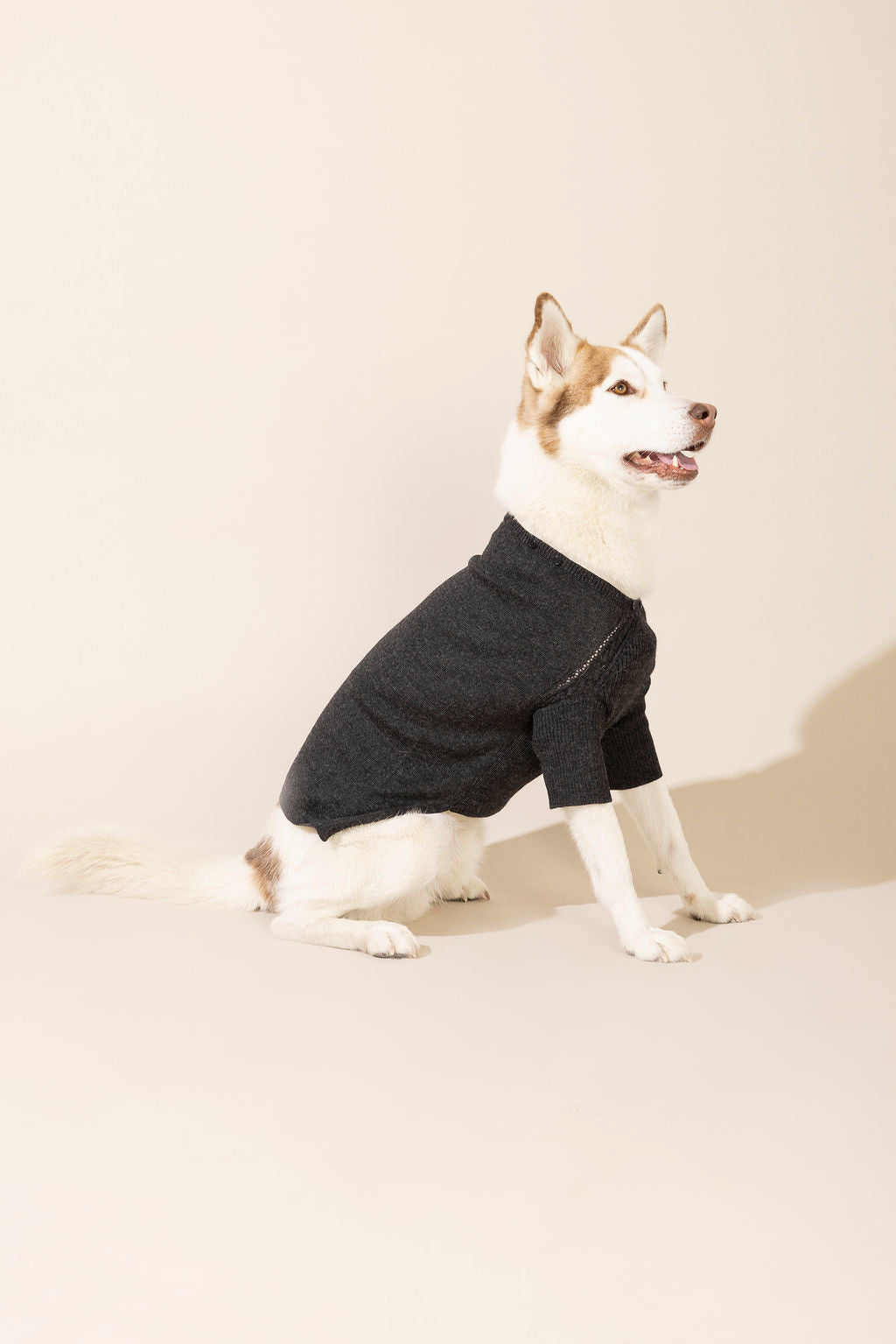 Side view of dark grey baby alpaca hooded sweater without hood — lightweight and breathable dog sweater ideal for year-round wear, eco-friendly for both small and large dogs, combining comfort, style, and durability.