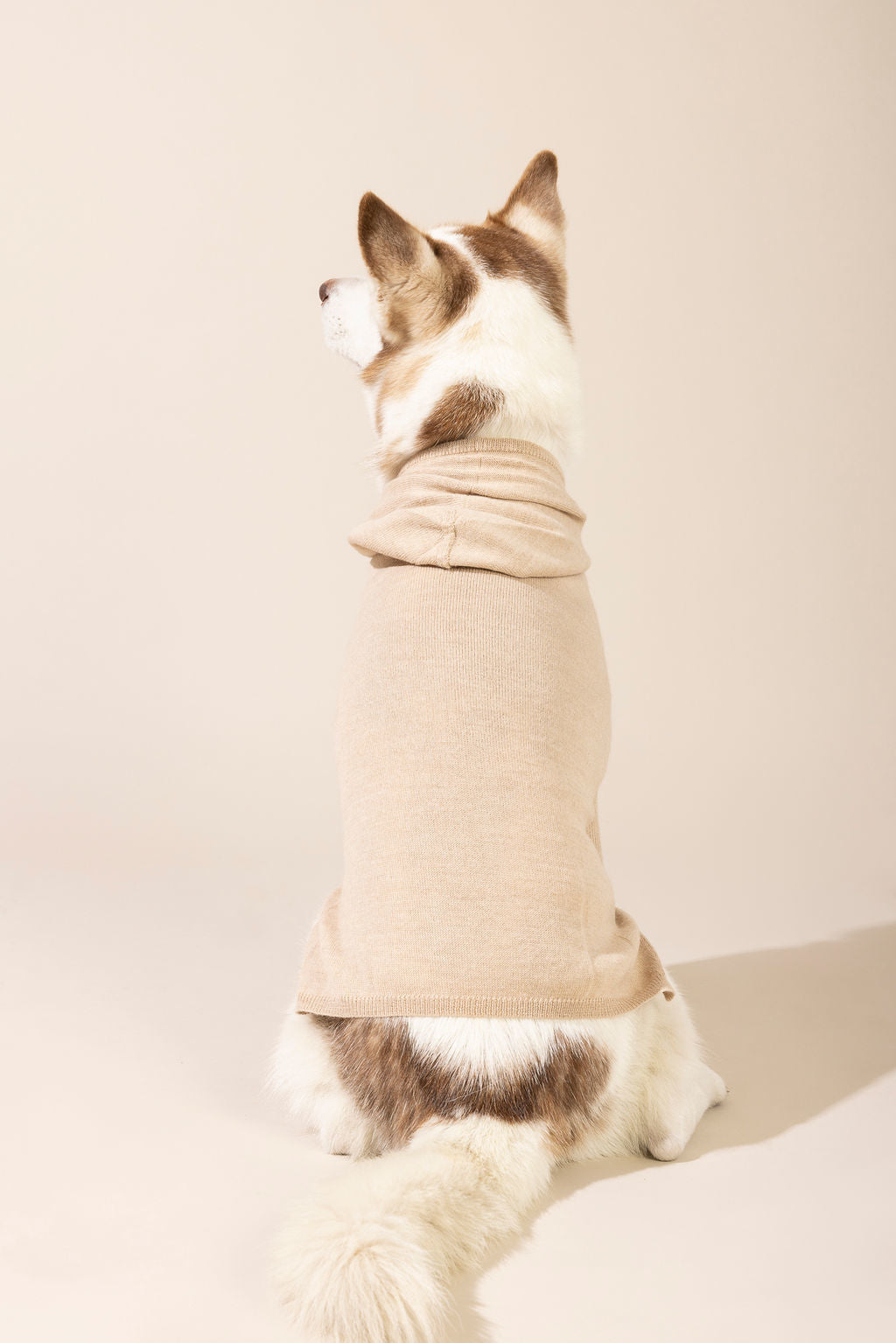 Back view of light brown baby alpaca hooded sweater — lightweight and breathable dog sweater ideal for year-round wear, eco-friendly for both small and large dogs, combining comfort, style, and durability.