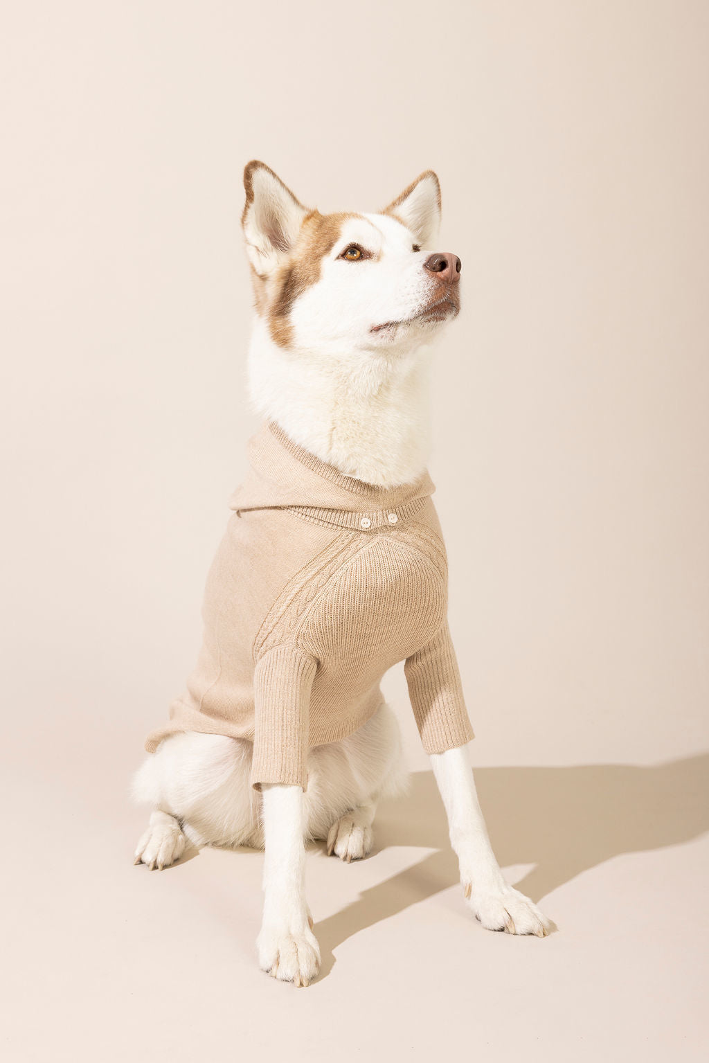Front view of light brown baby alpaca hooded sweater — lightweight and breathable dog sweater ideal for year-round wear, eco-friendly for both small and large dogs, combining comfort, style, and durability.