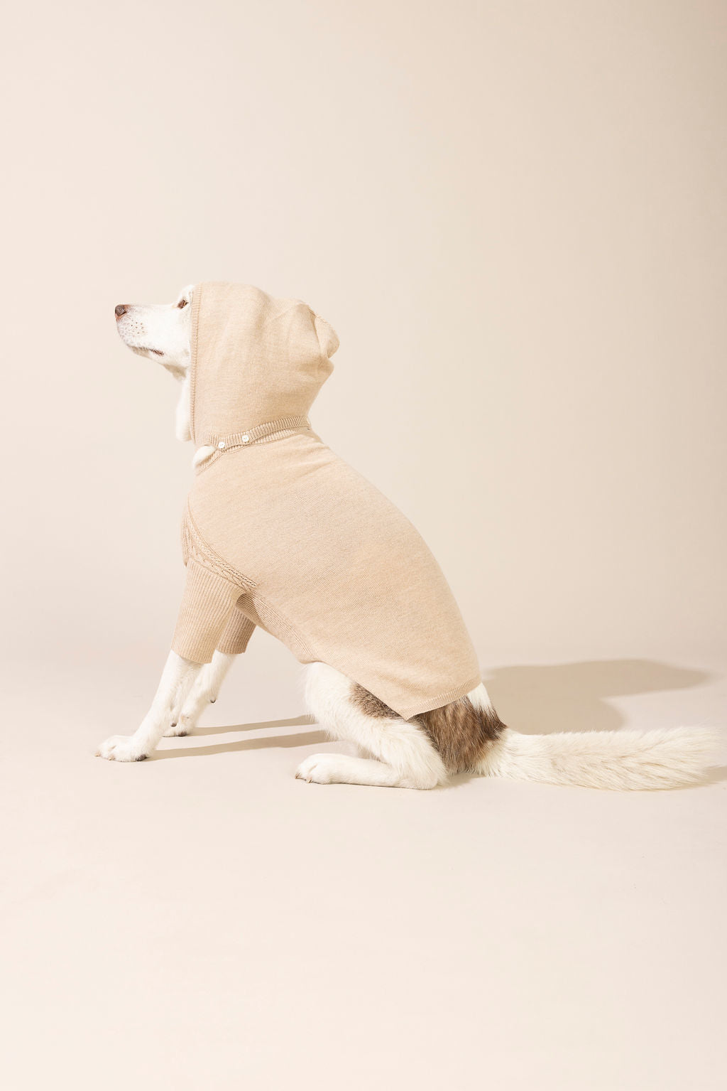Side view of light brown baby alpaca hooded sweater with hood on — lightweight and breathable dog sweater ideal for year-round wear, eco-friendly for both small and large dogs, combining comfort, style, and durability.