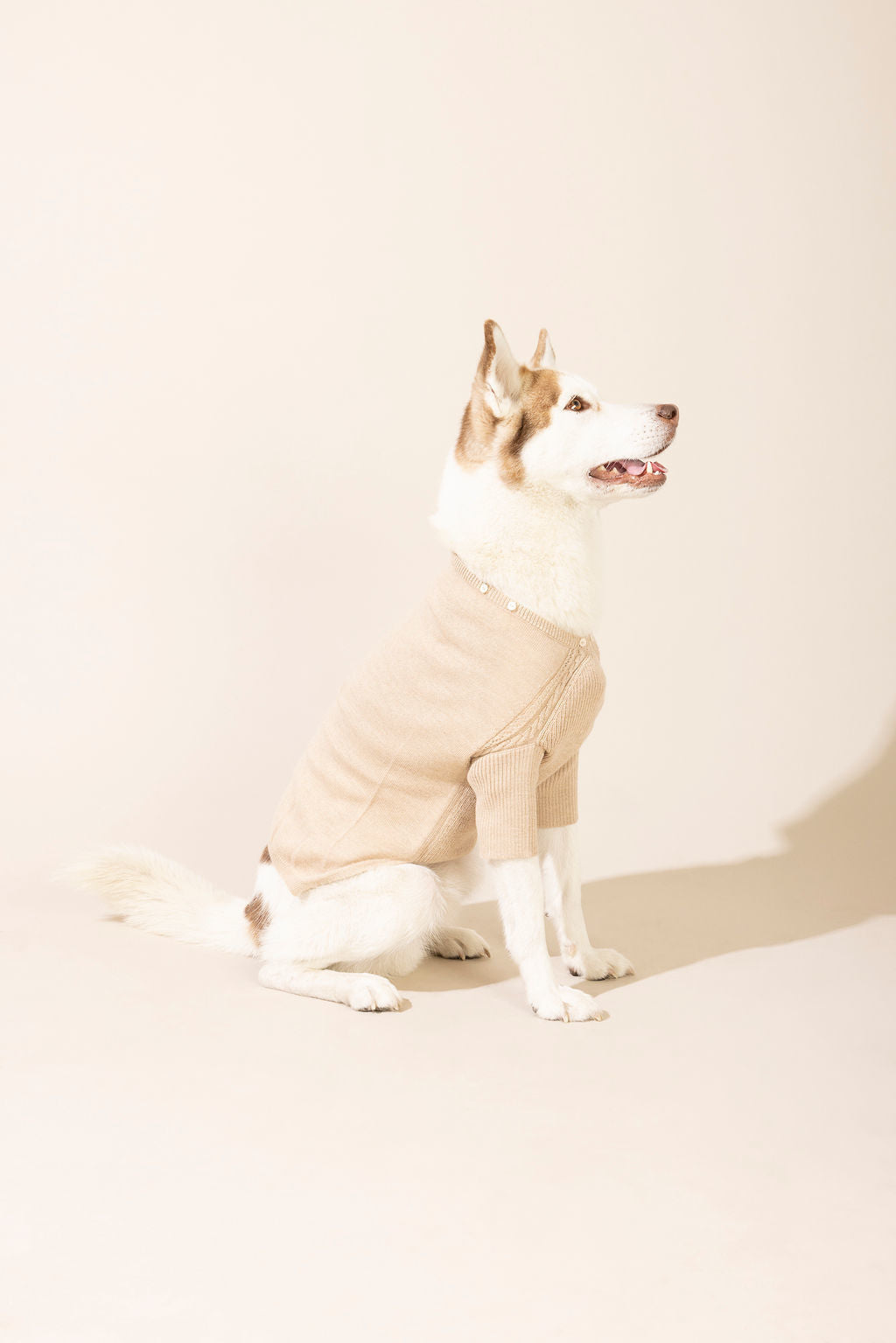 Side view of light brown baby alpaca hooded sweater without hood — lightweight and breathable dog sweater ideal for year-round wear, eco-friendly for both small and large dogs, combining comfort, style, and durability.