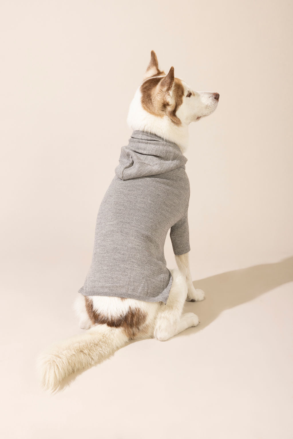 Back view of light grey baby alpaca hooded sweater — lightweight and breathable dog sweater ideal for year-round wear, eco-friendly for both small and large dogs, combining comfort, style, and durability.