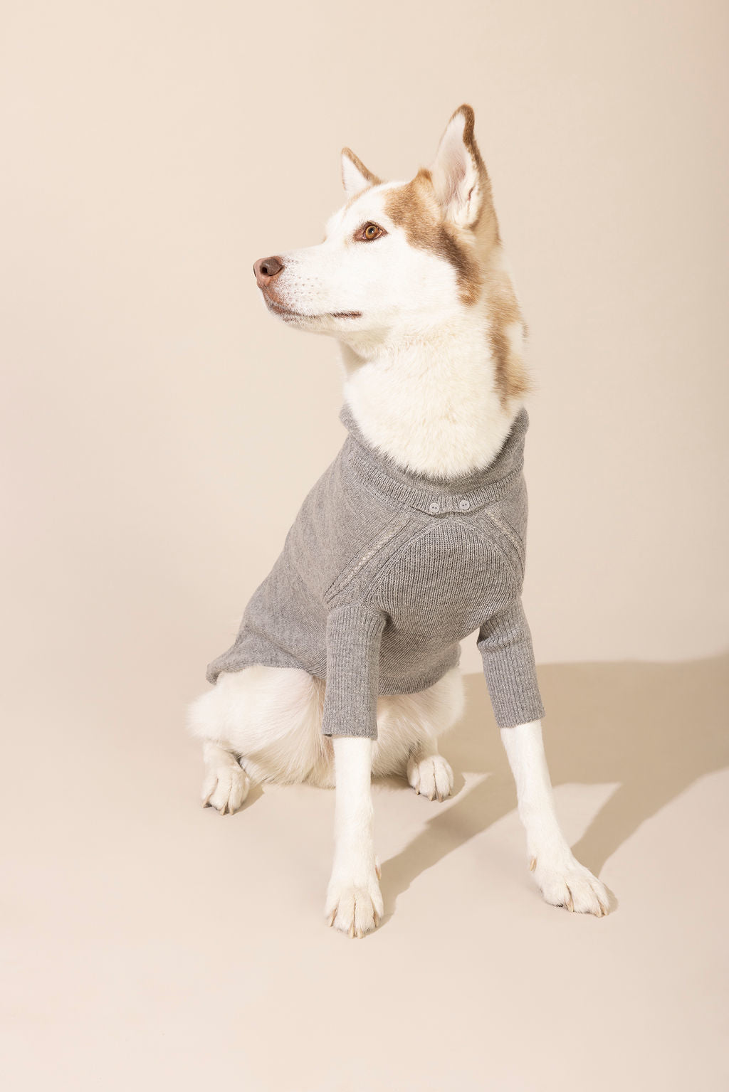 Front view of light gray baby alpaca hooded sweater — lightweight and breathable dog sweater ideal for year-round wear, eco-friendly for both small and large dogs, combining comfort, style, and durability.