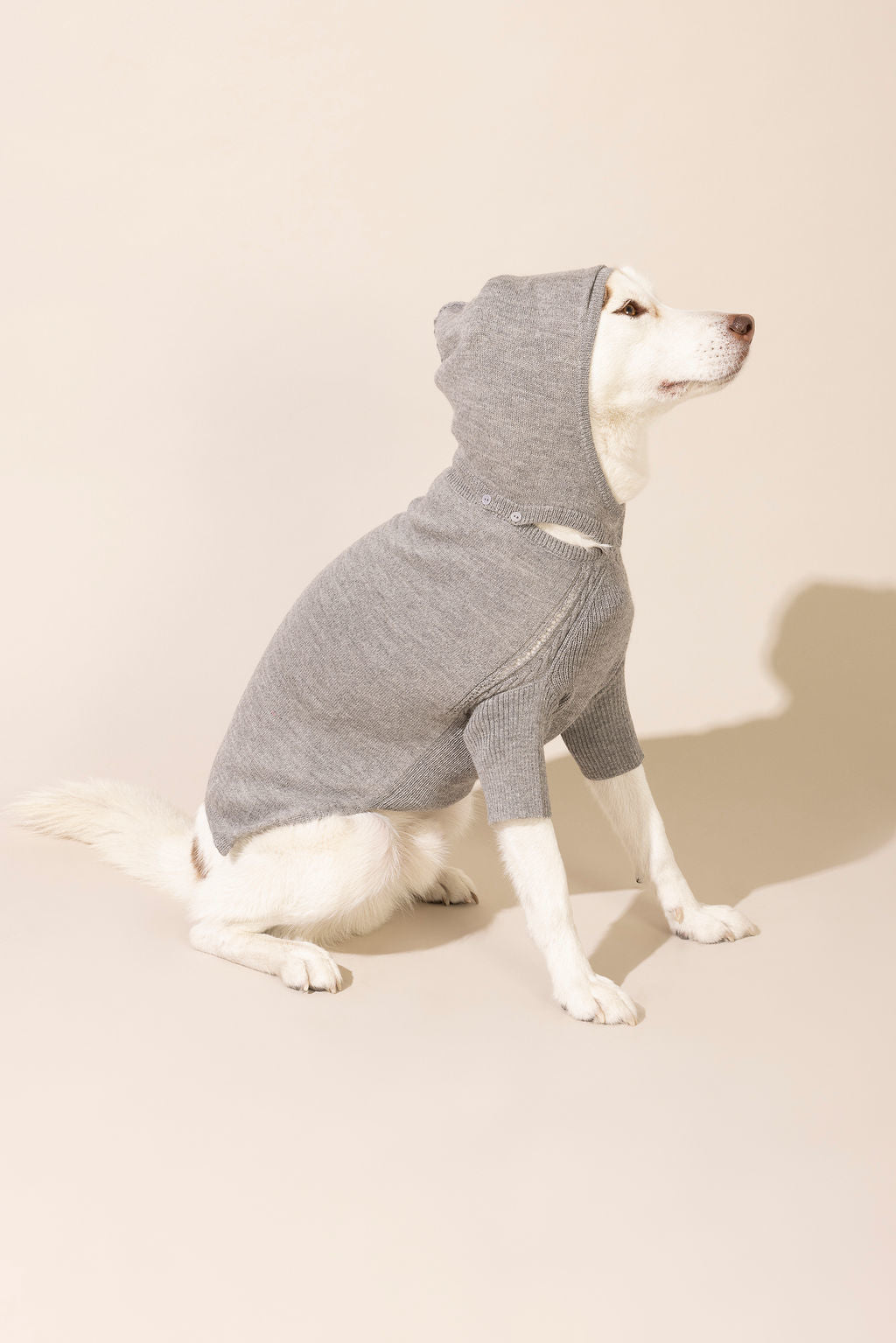 Side view of light grey baby alpaca hooded sweater with hood on — lightweight and breathable dog sweater ideal for year-round wear, eco-friendly for both small and large dogs, combining comfort, style, and durability.
