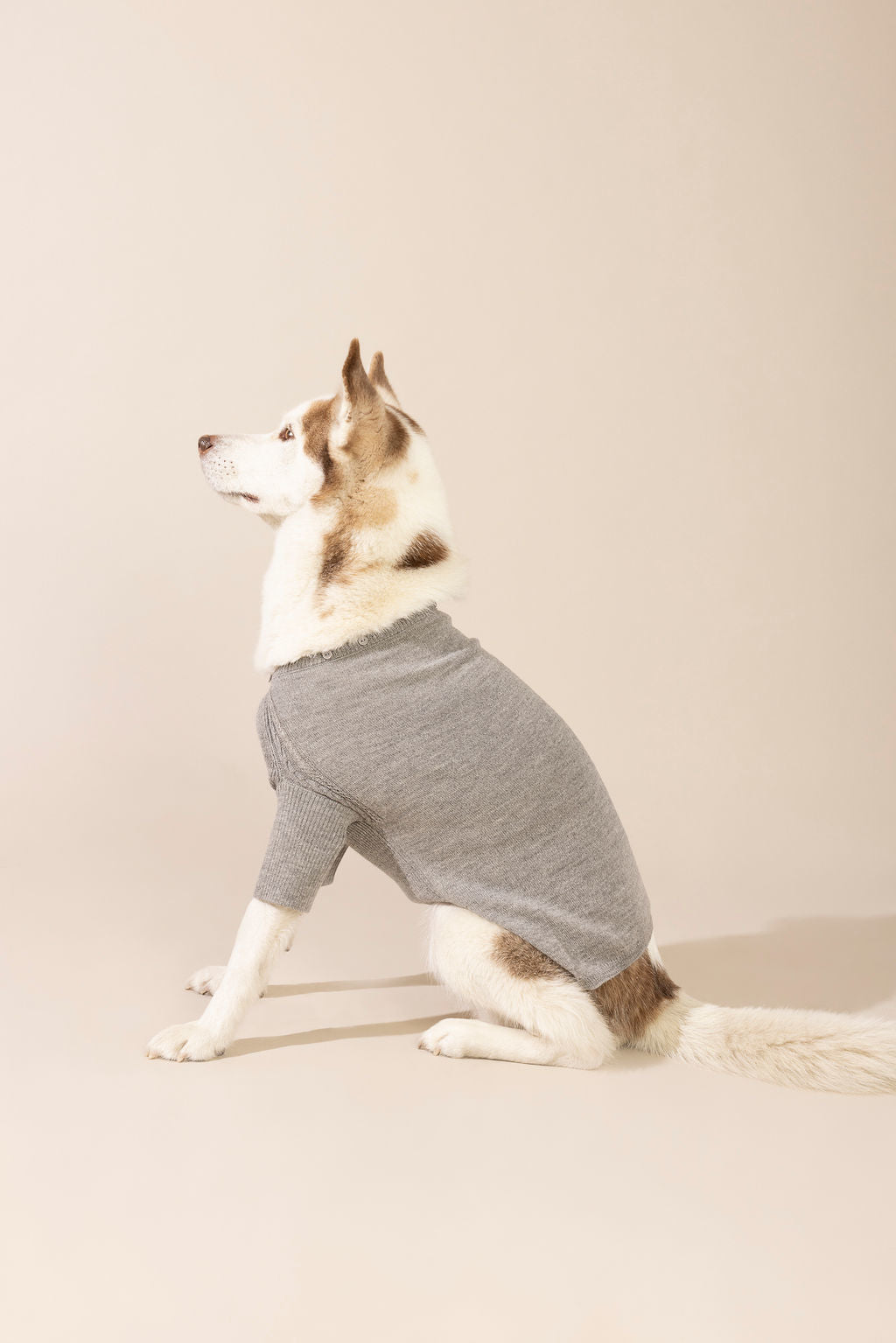 Side view of light grey baby alpaca hooded sweater without hood — lightweight and breathable dog sweater ideal for year-round wear, eco-friendly for both small and large dogs, combining comfort, style, and durability.