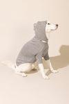 Baby Alpaca Hooded Knit Sweater - Light Grey